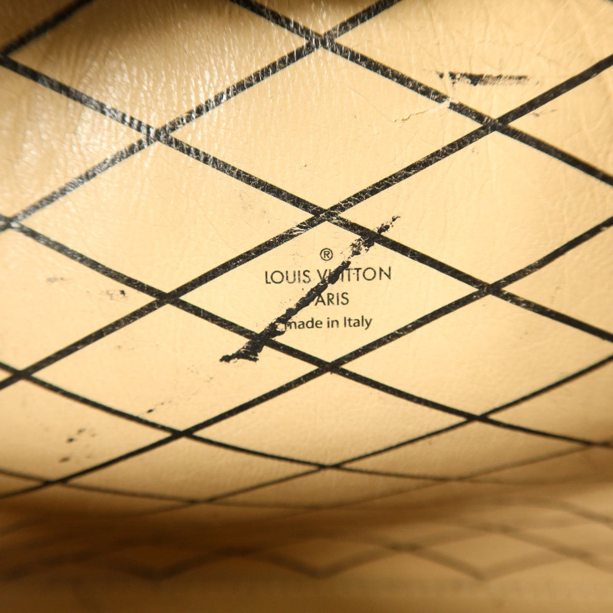 Louis Vuitton Petite Malle Soft MM · Canvas