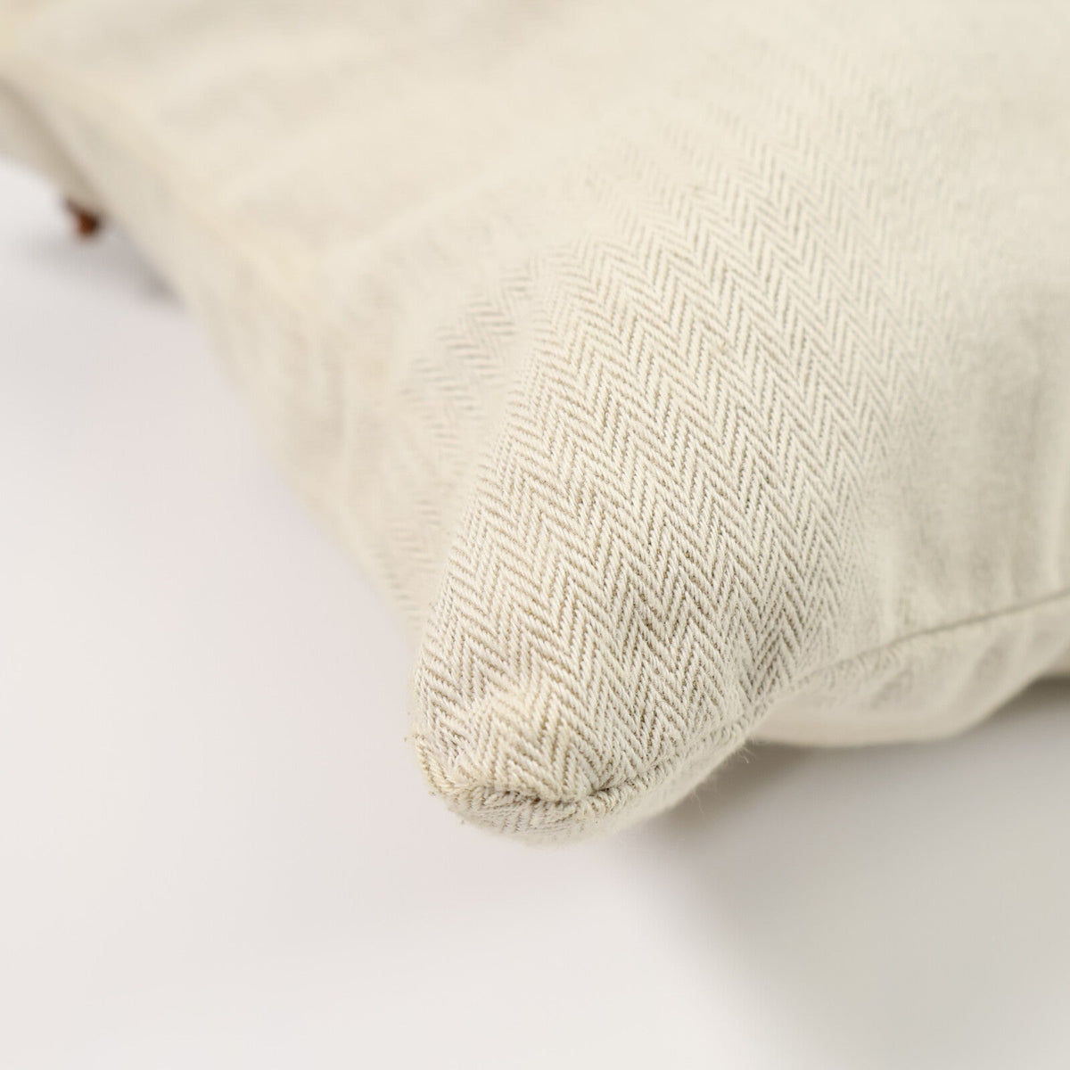 Hermès Aline PM · Canvas Tote