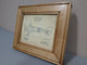 Golden Oak 210 B