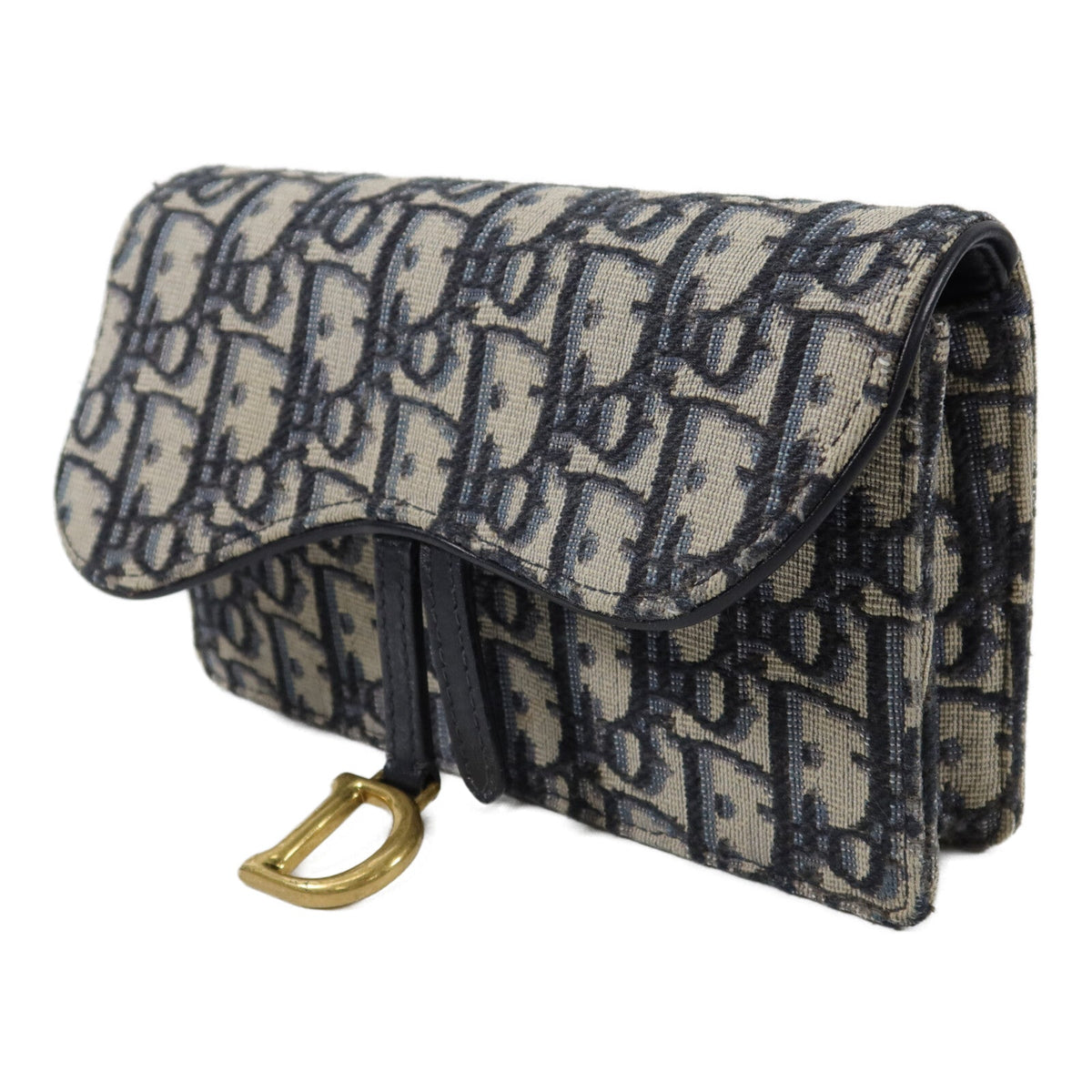 Dior Saddle · Belt Bag · Oblique Canvas