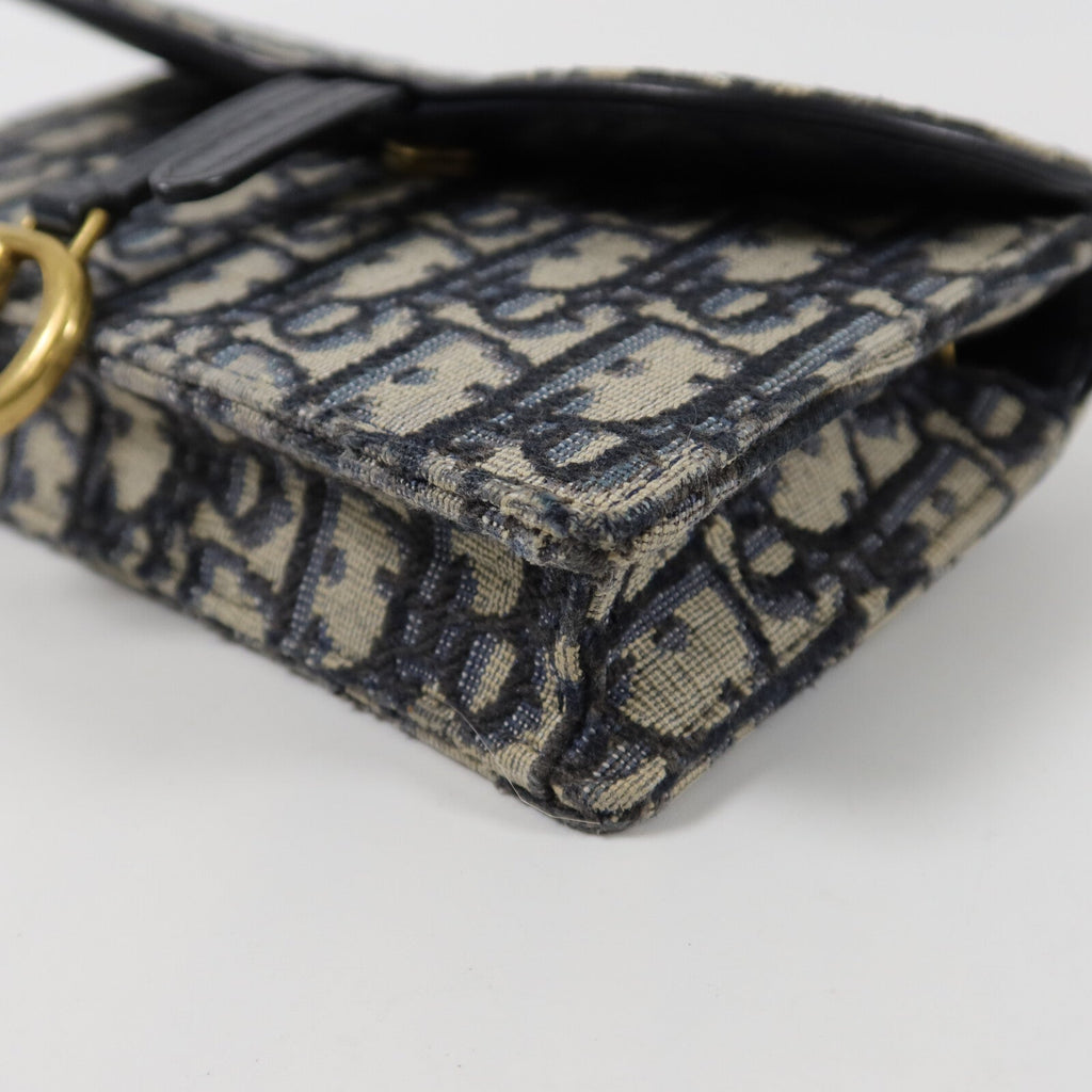 Dior Saddle · Belt Bag · Oblique Canvas