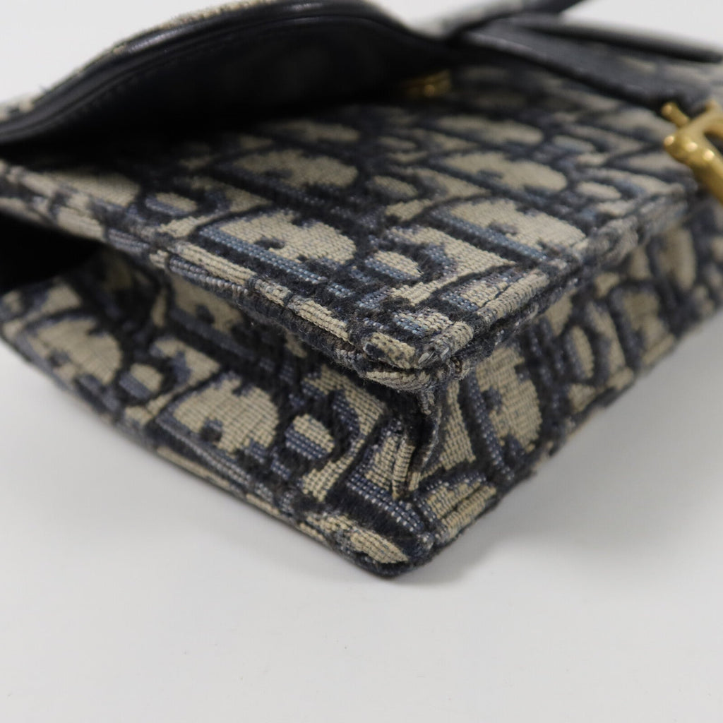 Dior Saddle · Belt Bag · Oblique Canvas