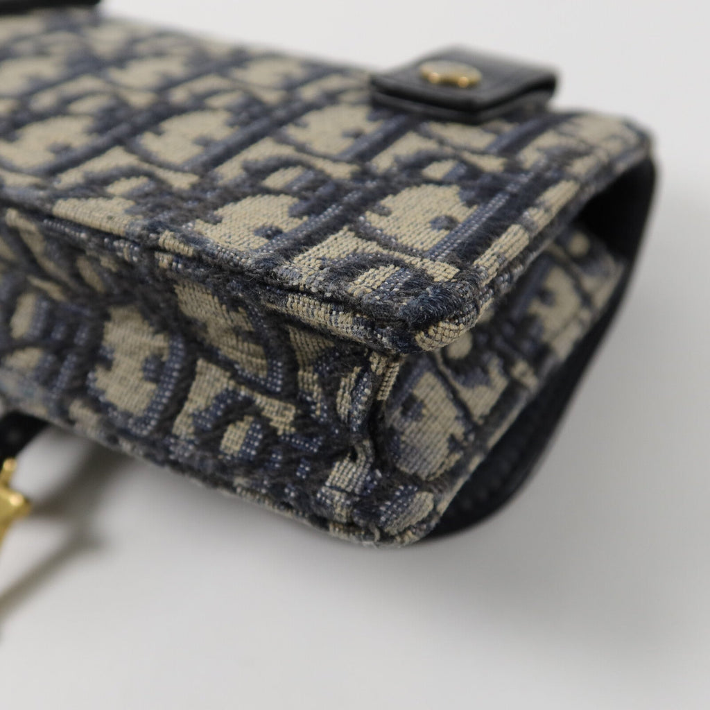 Dior Saddle · Belt Bag · Oblique Canvas