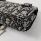 Dior Saddle · Belt Bag · Oblique Canvas