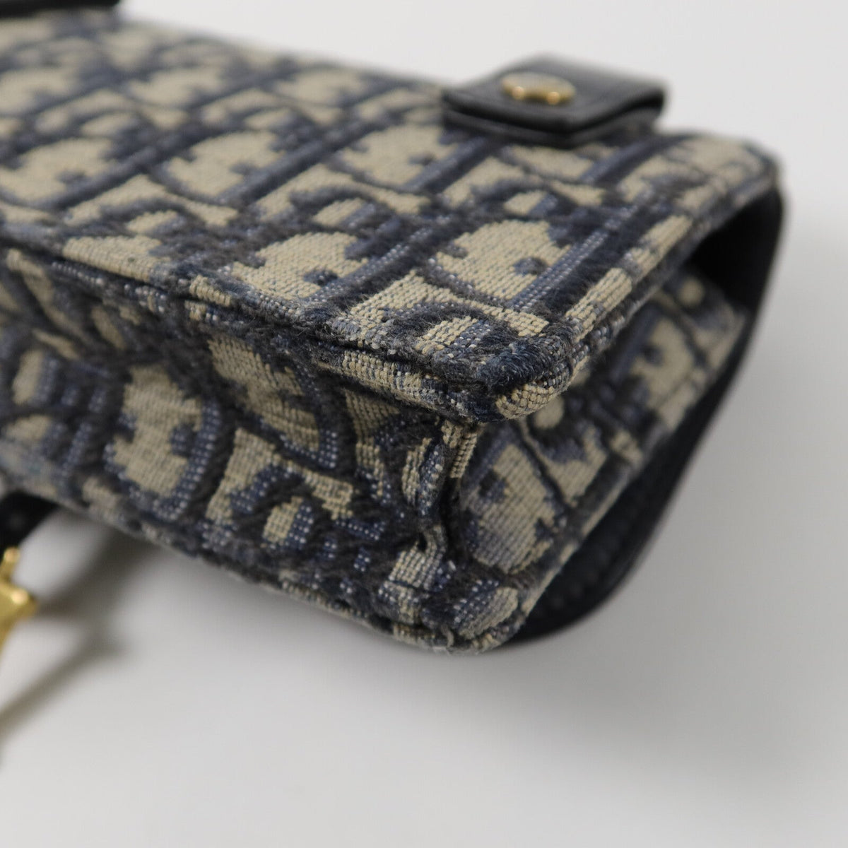 Dior Saddle · Belt Bag · Oblique Canvas