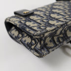 Dior Saddle · Belt Bag · Oblique Canvas