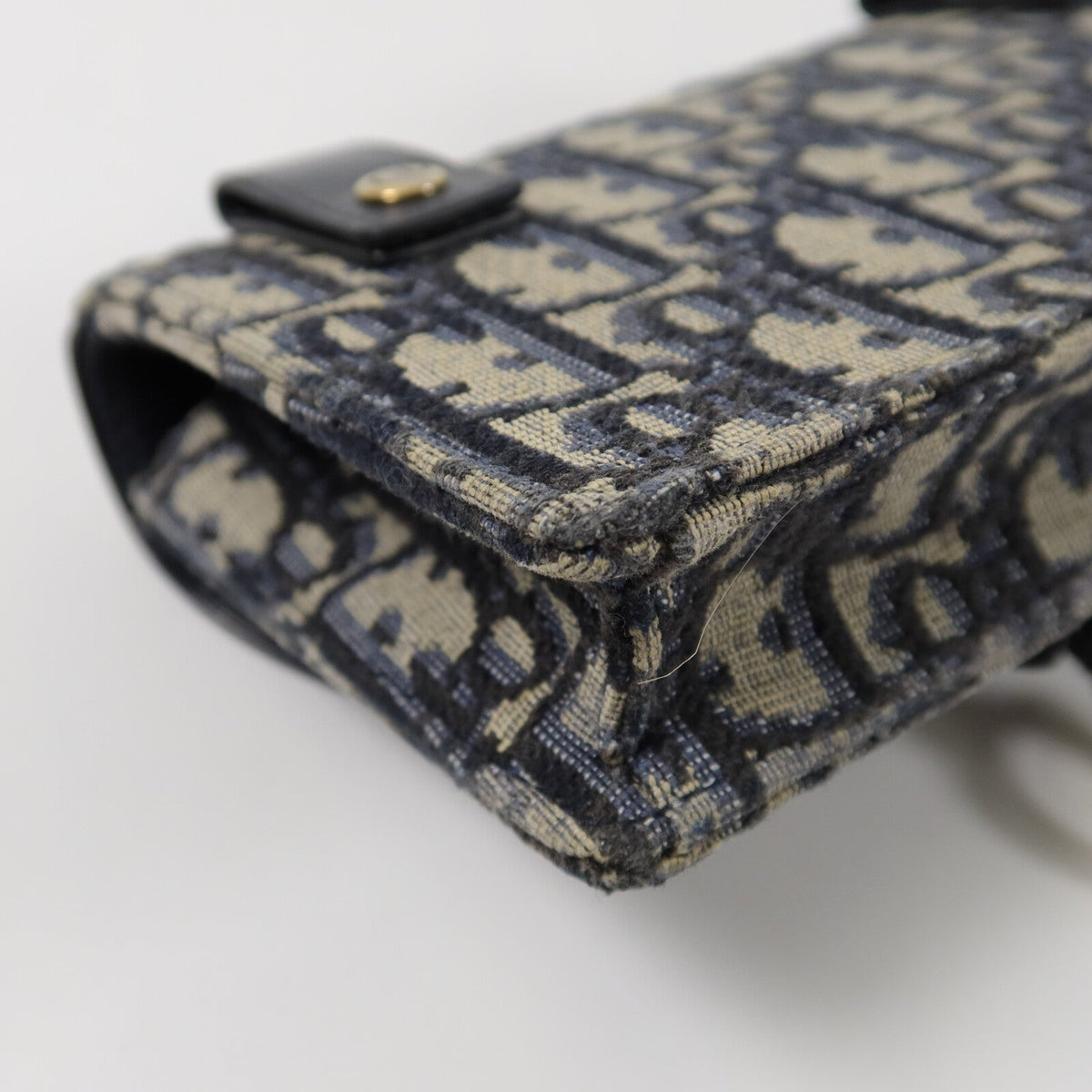 Dior Saddle · Belt Bag · Oblique Canvas