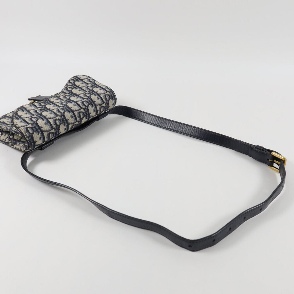 Dior Saddle · Belt Bag · Oblique Canvas