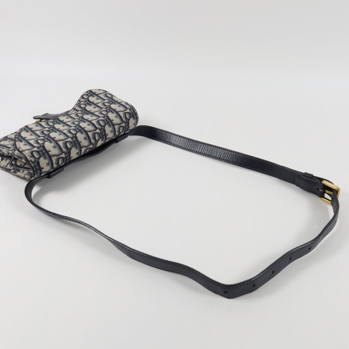 Dior Saddle · Belt Bag · Oblique Canvas