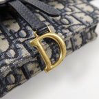 Dior Saddle · Belt Bag · Oblique Canvas