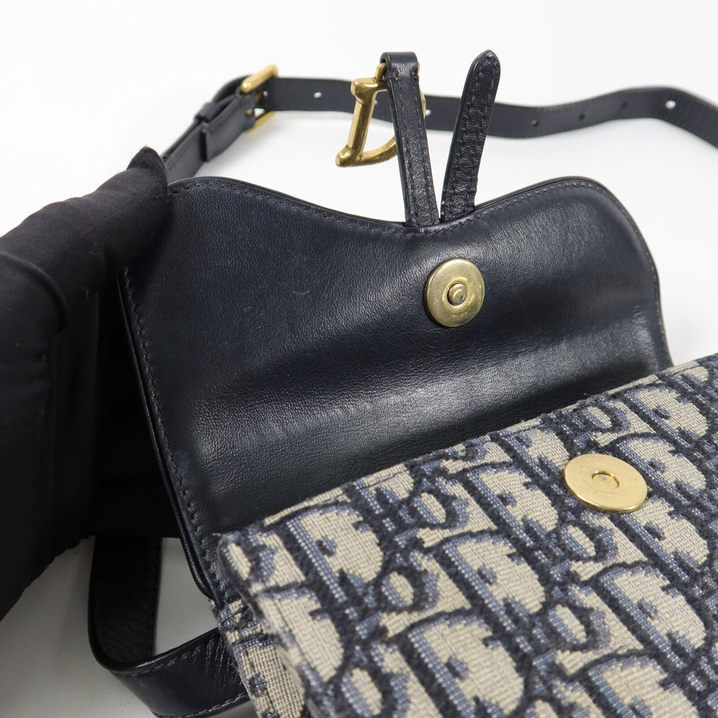 Dior Saddle · Belt Bag · Oblique Canvas