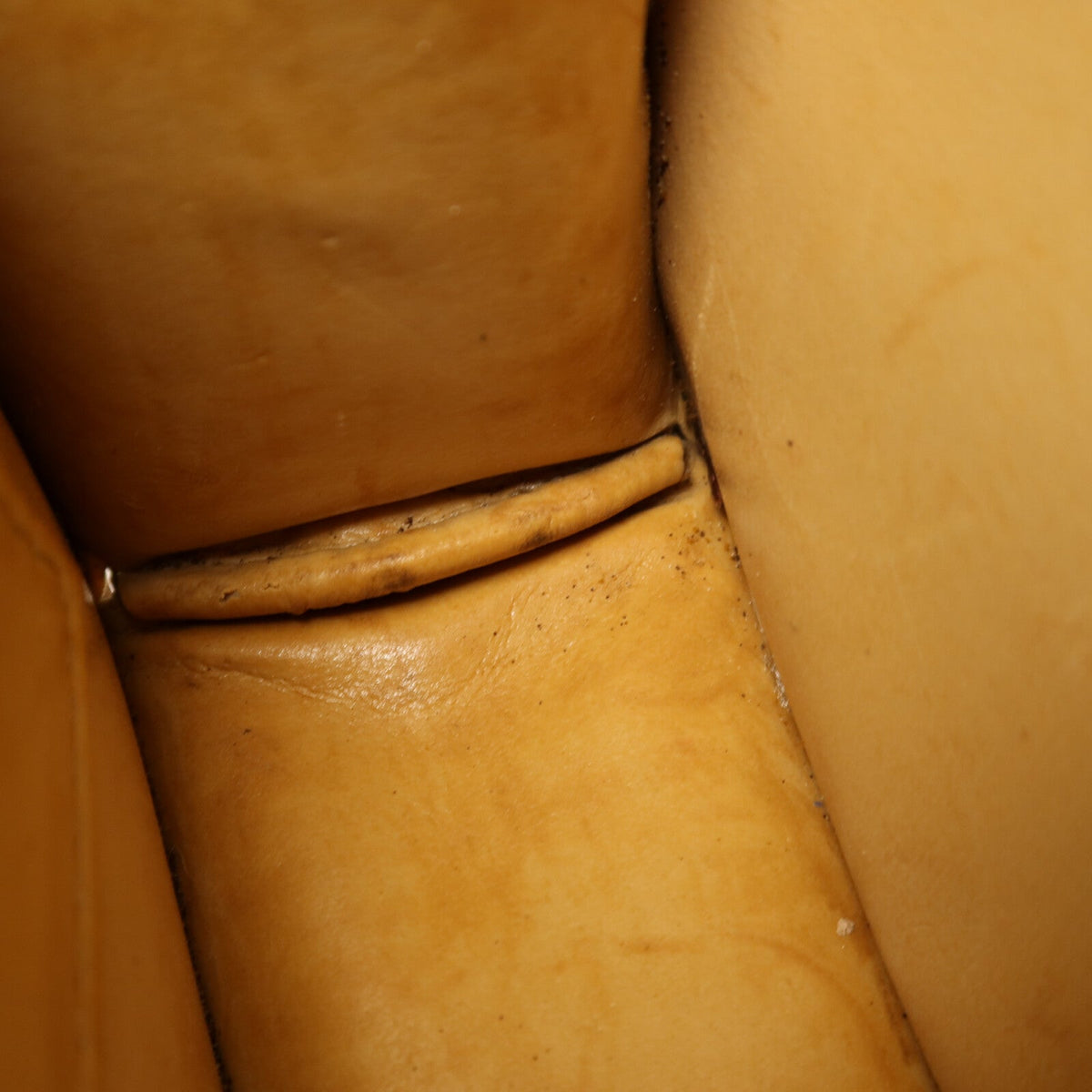 Celine Macadam · Coated Canvas