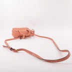 Delvaux Cool Box Nano · Calfskin