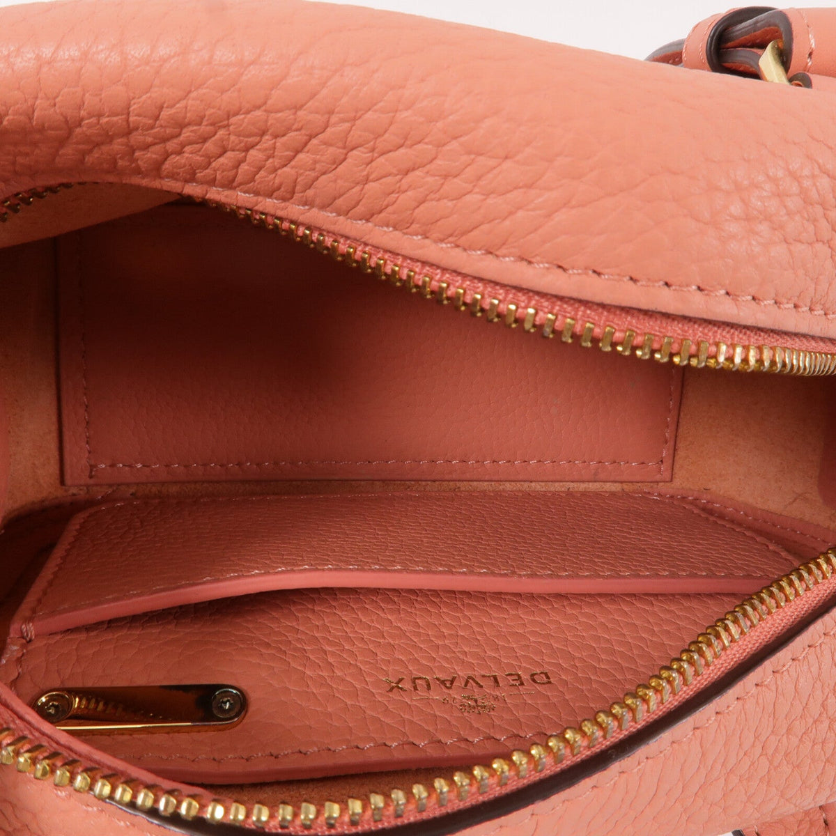 Delvaux Cool Box Nano · Calfskin