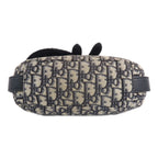Dior Saddle Messenger · Canvas