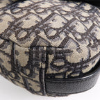 Dior Saddle Messenger · Canvas
