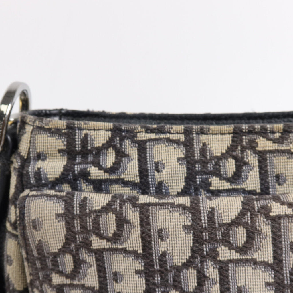 Dior Saddle Messenger · Canvas