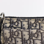 Dior Saddle Messenger · Canvas
