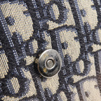 Dior Saddle Messenger · Canvas