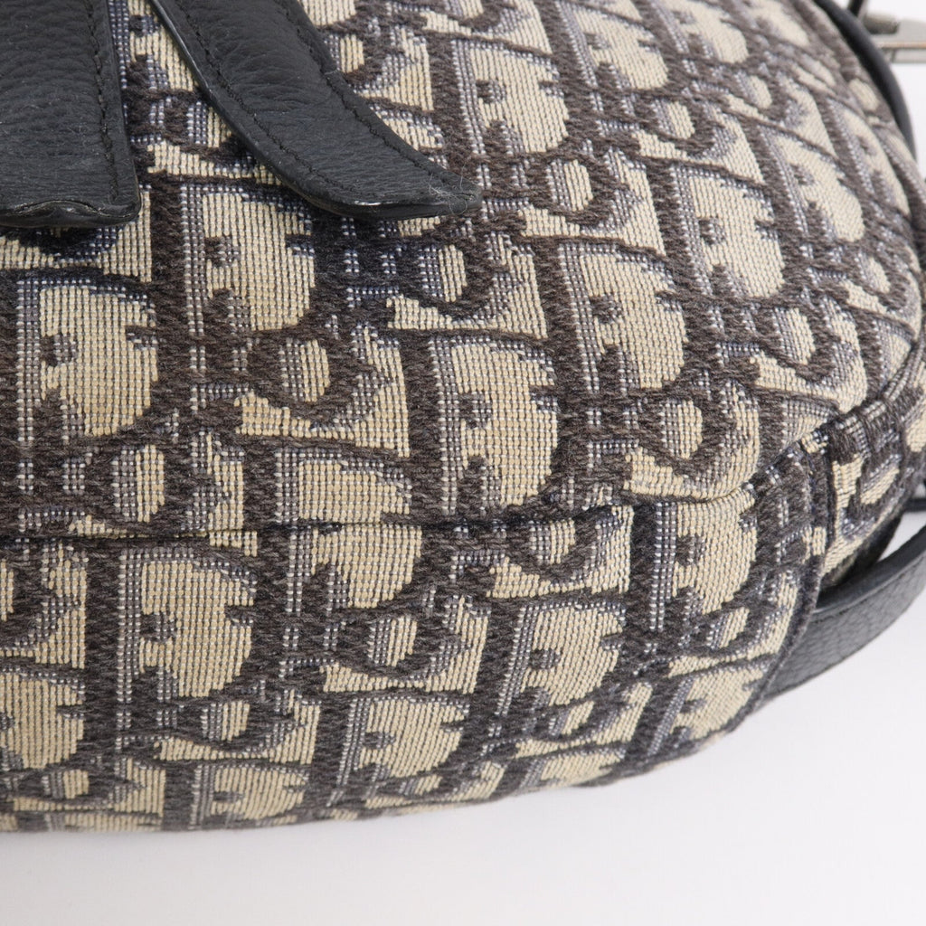 Dior Saddle Messenger · Canvas