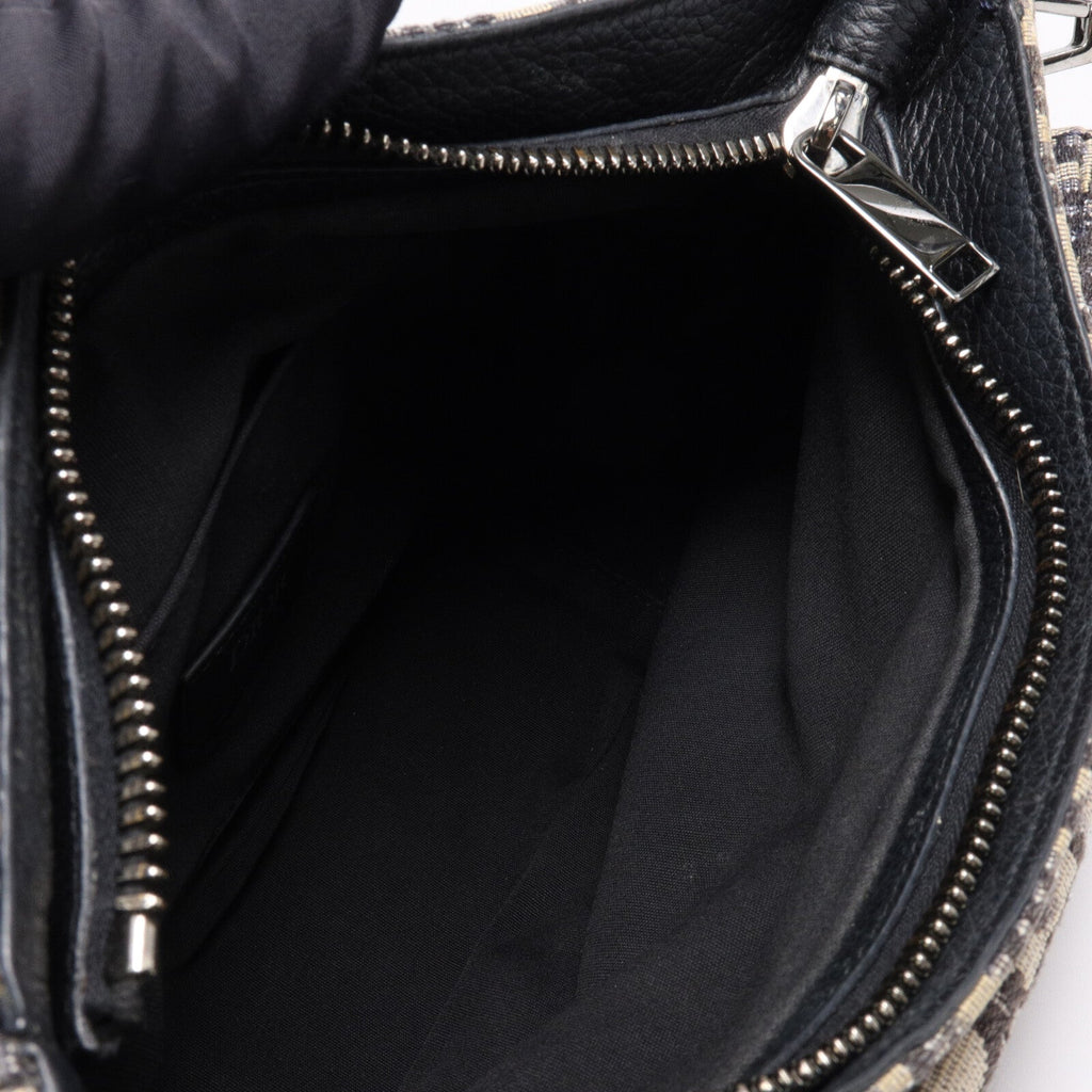 Dior Saddle Messenger · Canvas