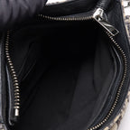 Dior Saddle Messenger · Canvas