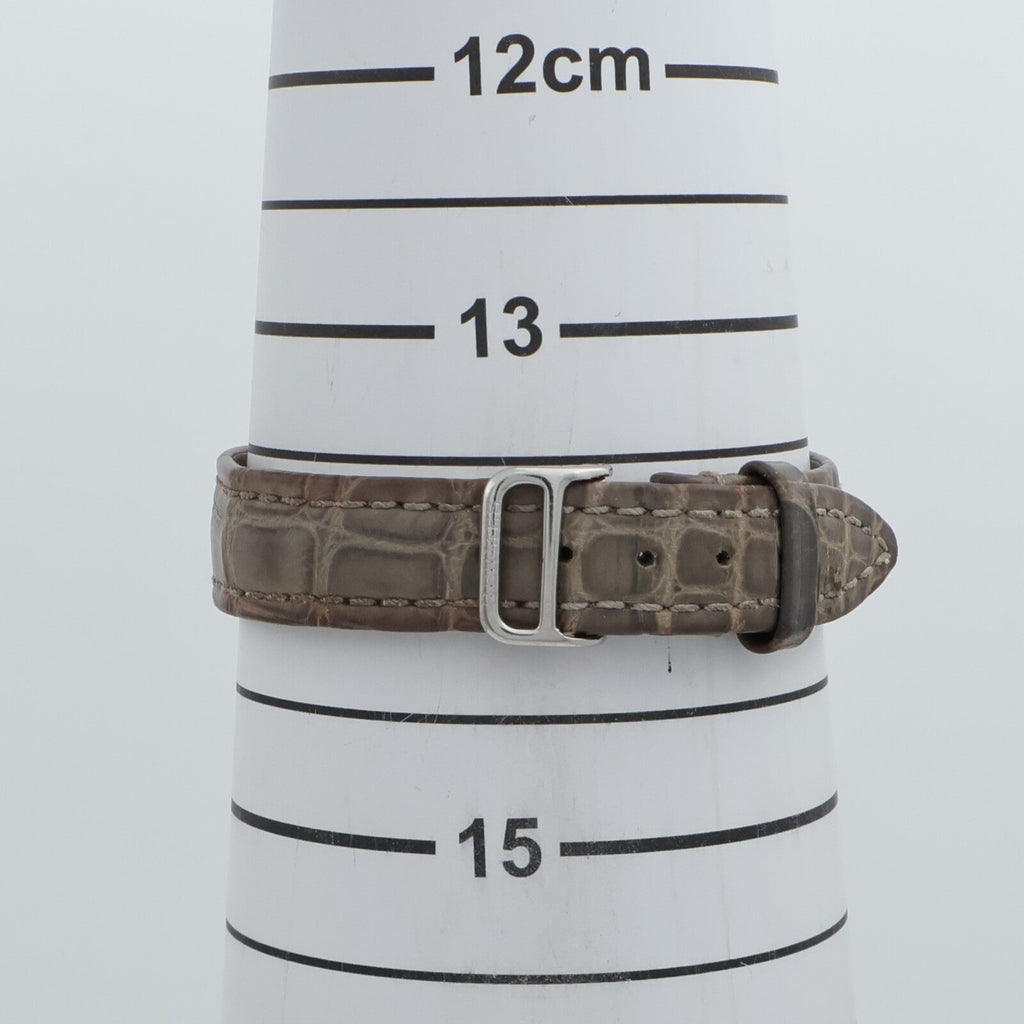 Hermès Nomade · Steel · Crocodile Strap