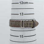 Hermès Nomade · Steel · Crocodile Strap