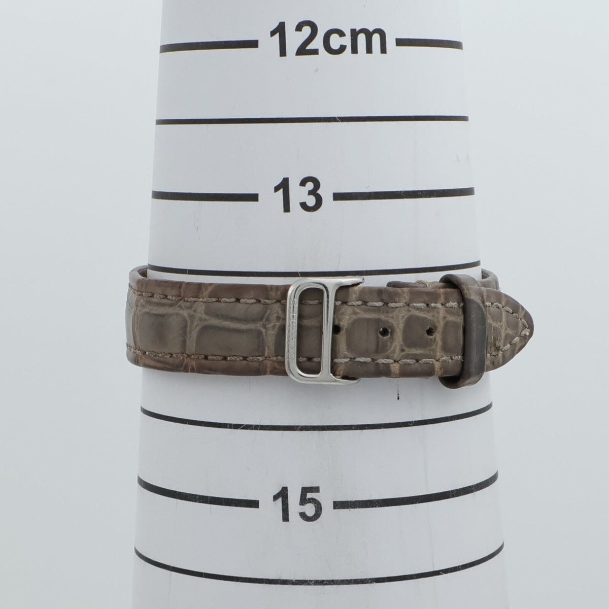 Hermès Nomade · Steel · Crocodile Strap