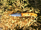 Carbon Skinning/Hunting Knife TC-59