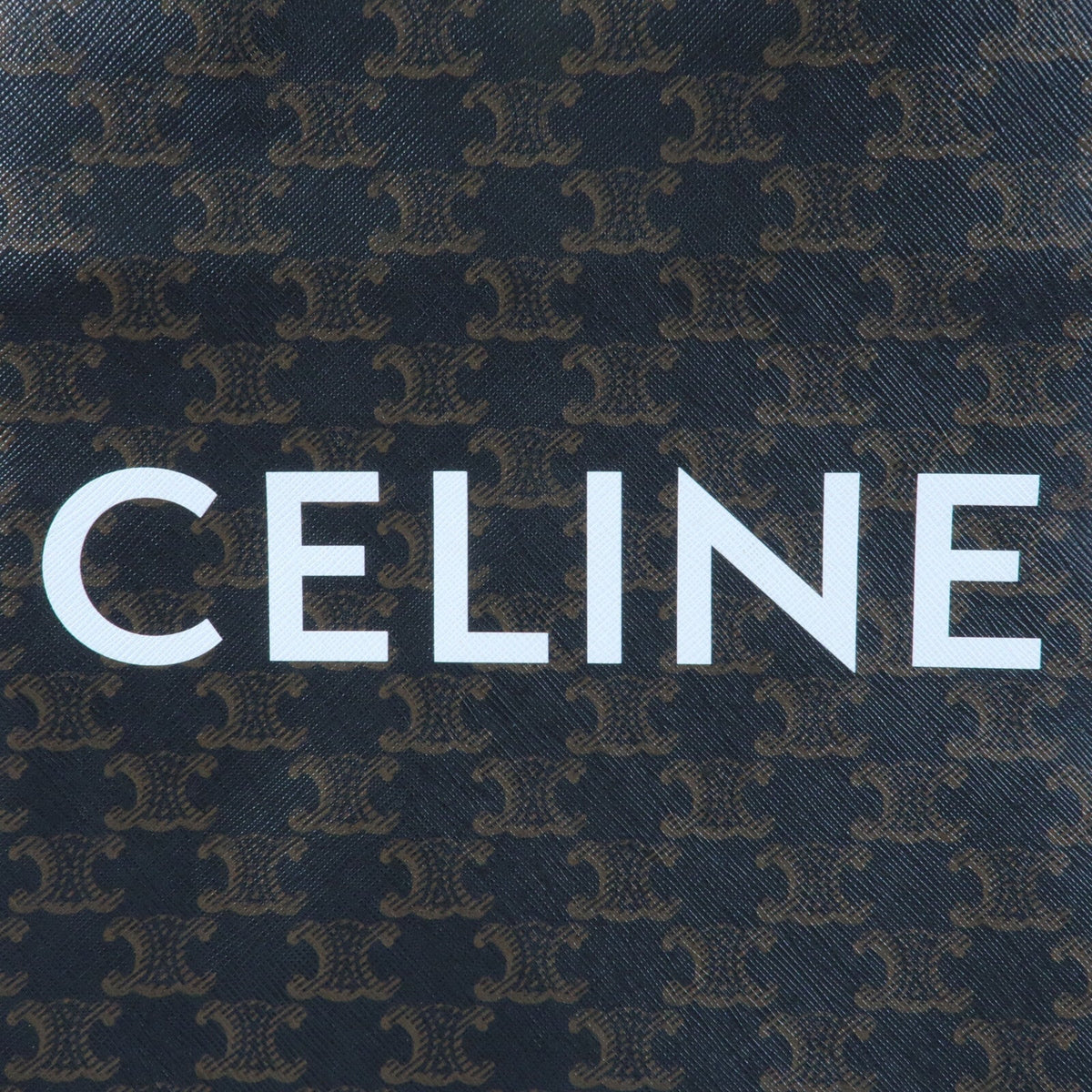 Celine Triomphe Cabas Vertical · Coated Canvas