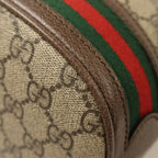 Gucci Ophidia Bucket Bag · GG Canvas