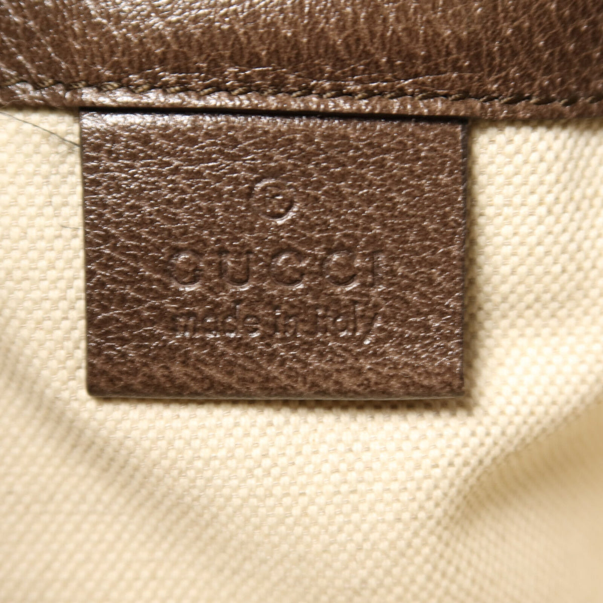 Gucci Ophidia Bucket Bag · GG Canvas