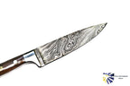 Damascus Kitchen Knife TD-211