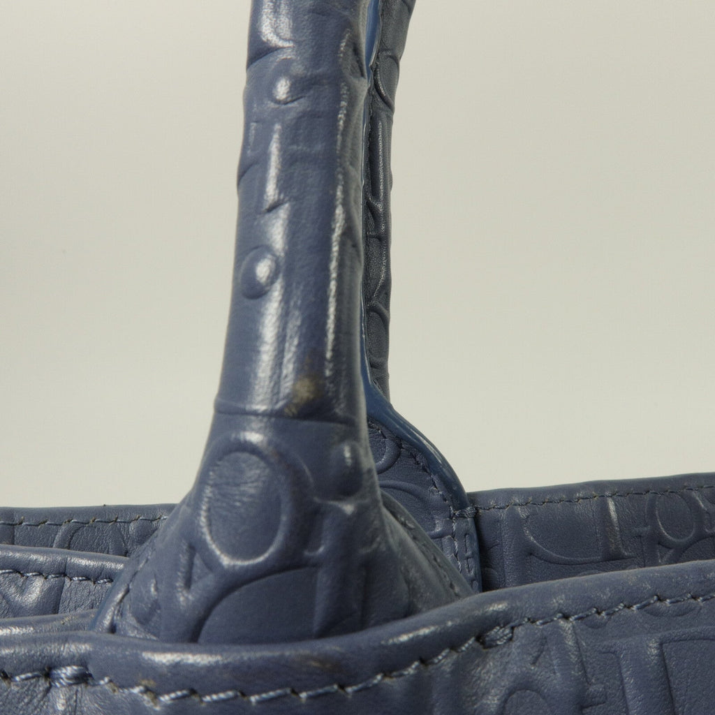 Dior Book Tote Medium · Calfskin