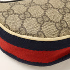 Gucci Ophidia Mini · GG Canvas