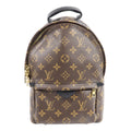 Louis Vuitton Palm Springs · Monogram · PM