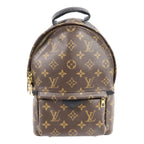 Louis Vuitton Palm Springs · Monogram · PM