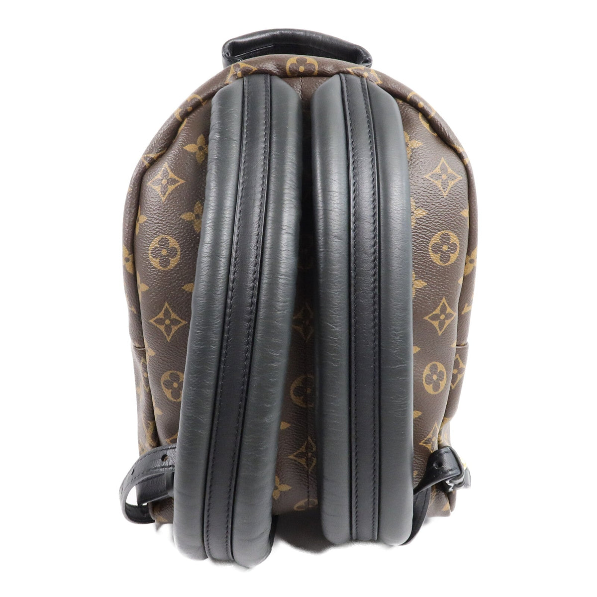 Louis Vuitton Palm Springs · Monogram · PM
