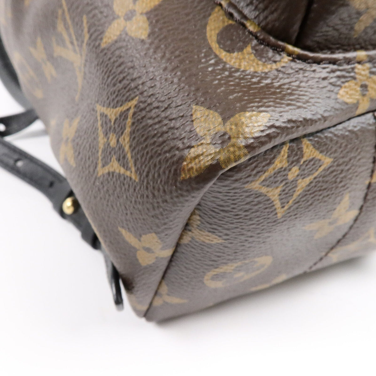 Louis Vuitton Palm Springs · Monogram · PM