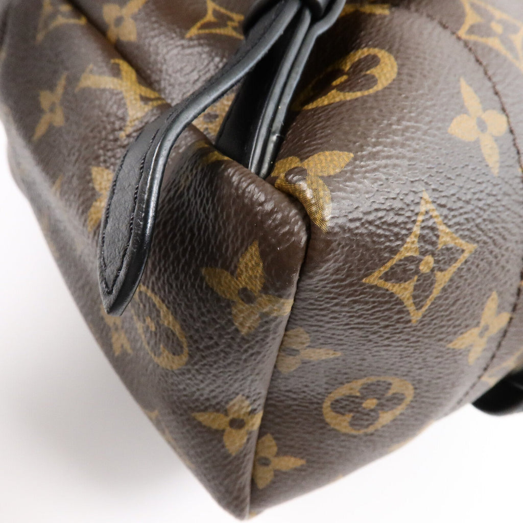 Louis Vuitton Palm Springs · Monogram · PM