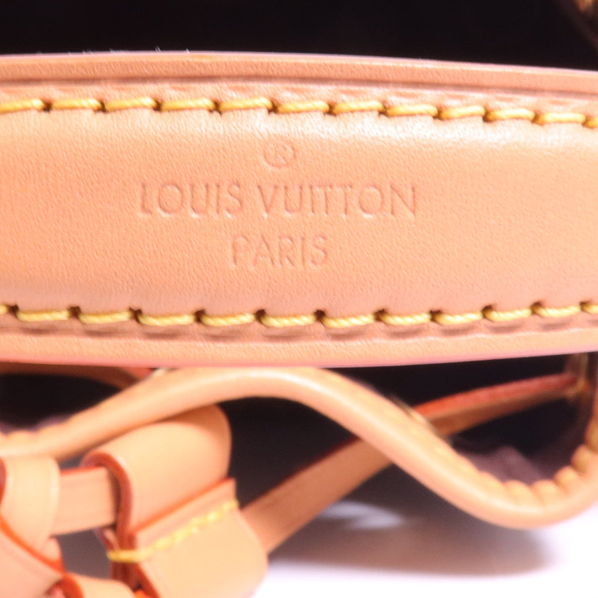 Louis Vuitton Nano Noé · Monogram
