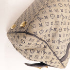 Louis Vuitton Josephine PM · Monogram Mini