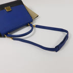 CELINE Trapeze Medium · Calfskin
