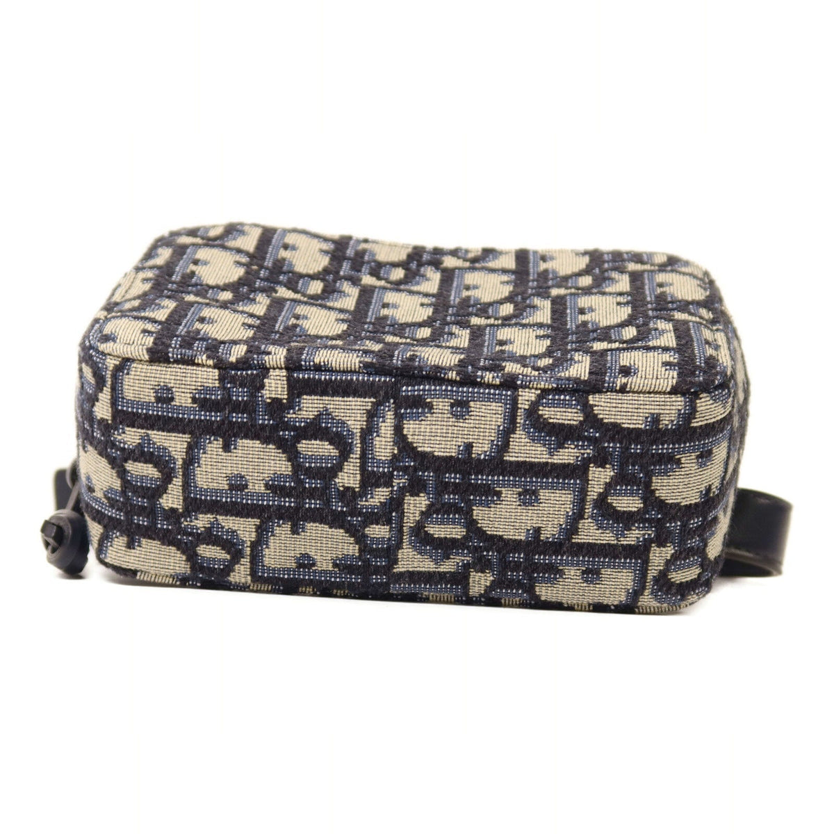 Dior Oblique Belt Bag · Canvas