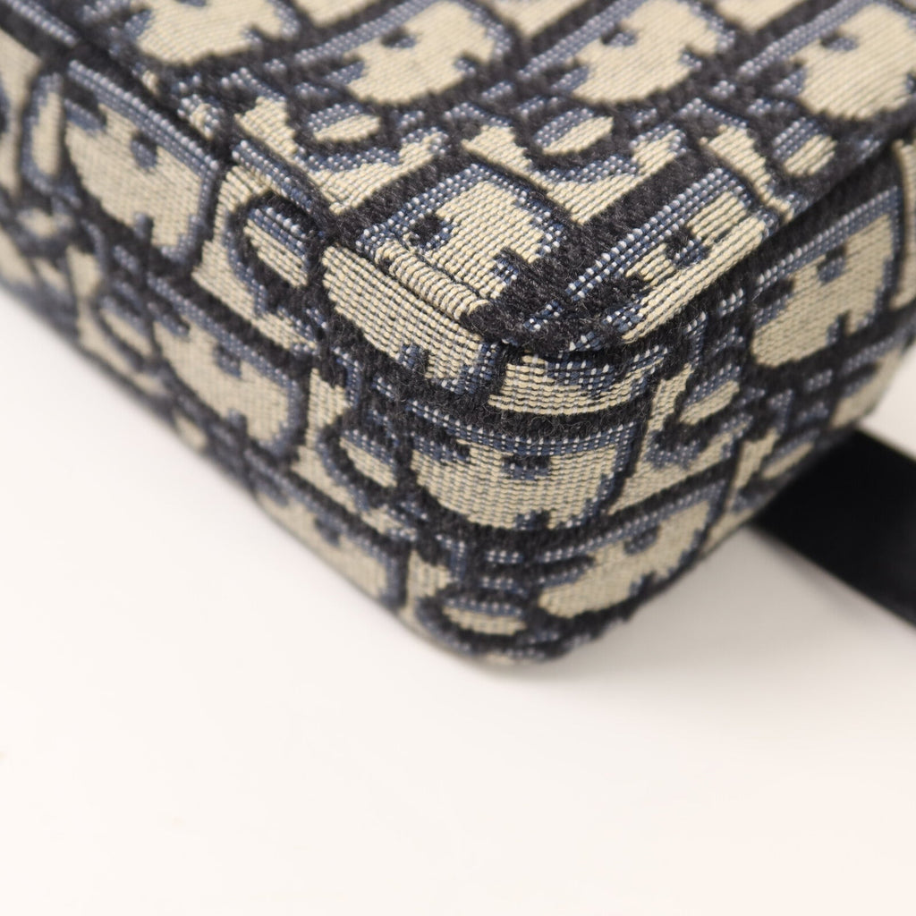 Dior Oblique Belt Bag · Canvas