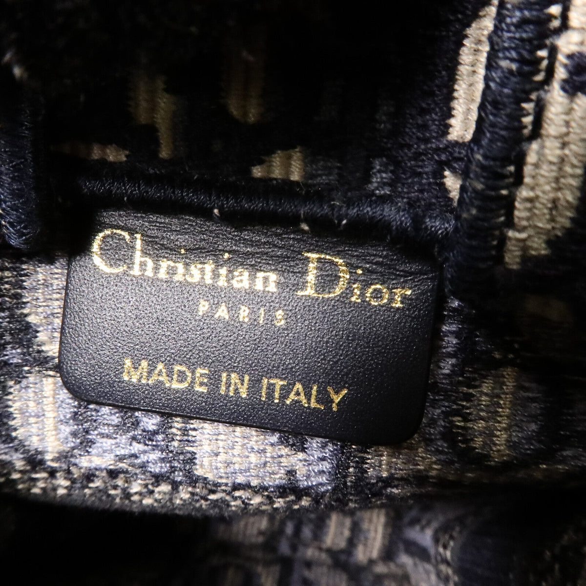 Dior Book Tote Mini · Canvas