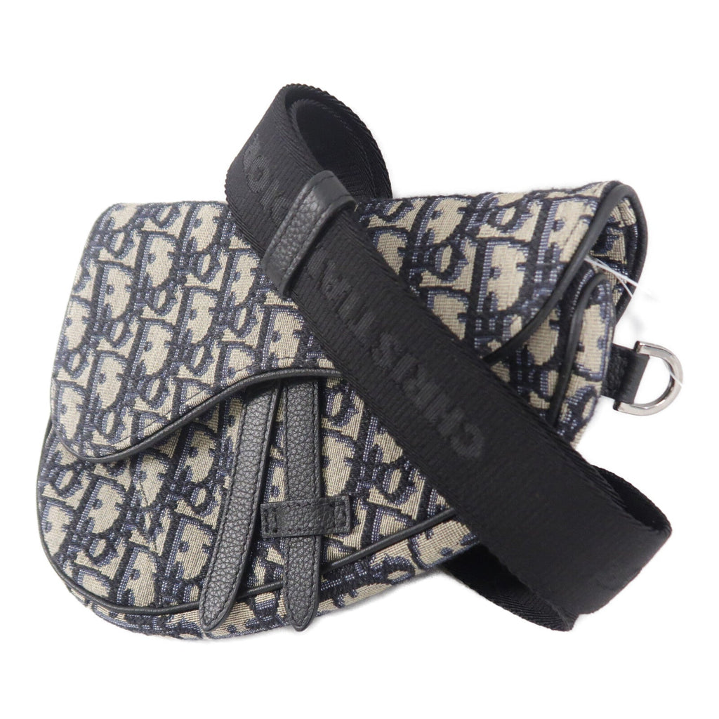 Dior Mini Saddle · Oblique Canvas