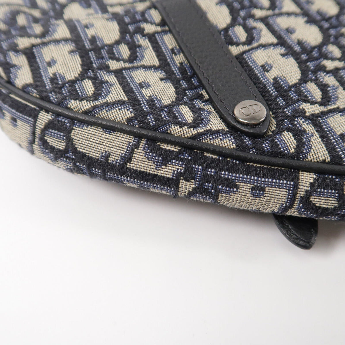 Dior Mini Saddle · Oblique Canvas
