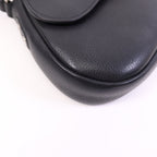 Dior Saddle · Calfskin